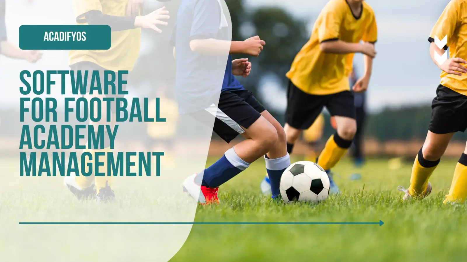 software-for-football-academy-management